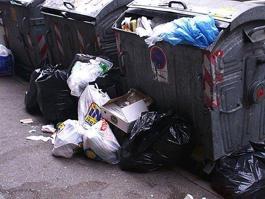 Die Dumpster Diver stahlen in Landstraße Lebensmittel aus dem Müll