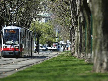 Am 01. Mai gibt es einige Änderungen bei den Öffis. Am 01. Mai gibt es einige Änderungen bei den Öffis.