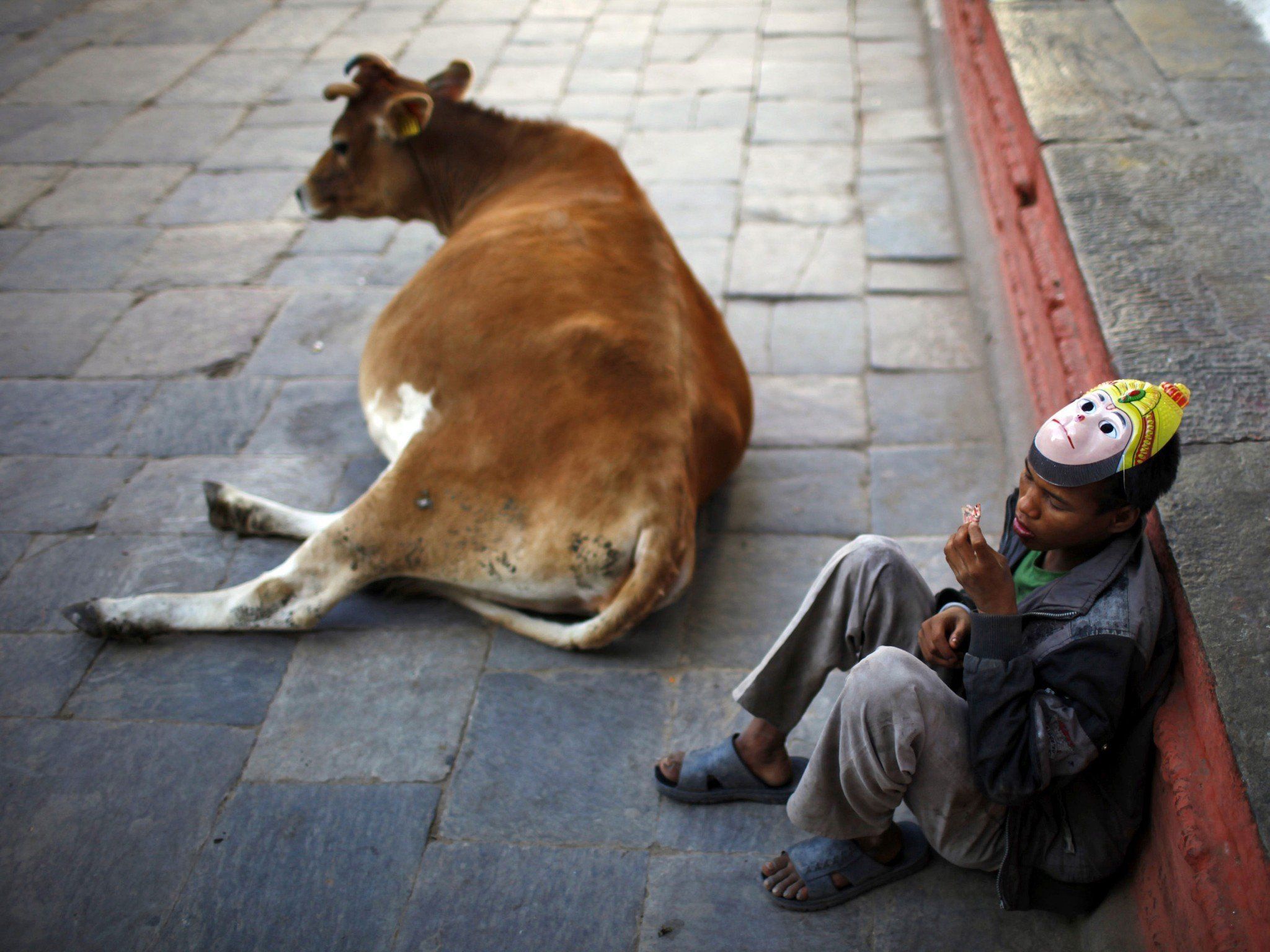 Tiere auf den Straßen verursachen oft Unfälle. Tiere auf den Straßen verursachen oft Unfälle.