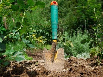 Die Bürger in Angern an der March fürchten um ihre Gesundheit. Die Bürger in Angern an der March fürchten um ihre Gesundheit.