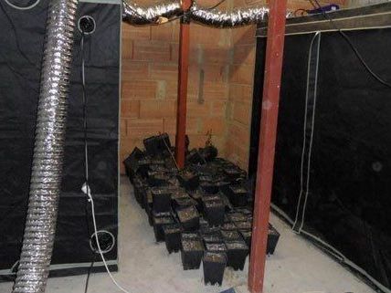 Ein Hanf-Gewächshaus wurde in den Kellerräumen in Favoriten entdeckt. Ein Hanf-Gewächshaus wurde in den Kellerräumen in Favoriten entdeckt.