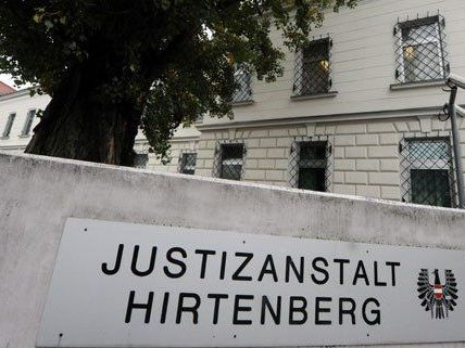 19 Minuten nach seiner Flucht wurde der Häftling in Niederösterreich gefasst. 19 Minuten nach seiner Flucht wurde der Häftling in Niederösterreich gefasst.