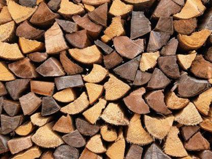 Holz ist nicht gleich Holz - die Verwendung ist sehr vielseitig.