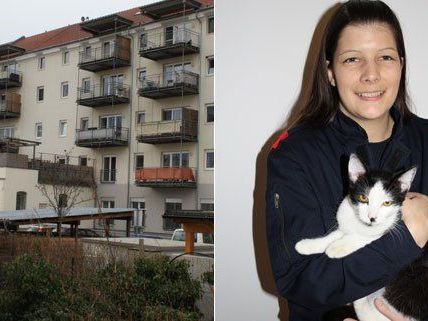 Gerade noch rechtzeitig konnte die Katze aus dem Fluss gerettet werden. Gerade noch rechtzeitig konnte die Katze aus dem Fluss gerettet werden.