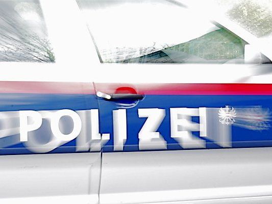 Die Polizei sucht nach einem unbekannten Täter, der Schneestangen an der L88 zerstört hat. Die Polizei sucht nach einem unbekannten Täter, der Schneestangen an der L88 zerstört hat.