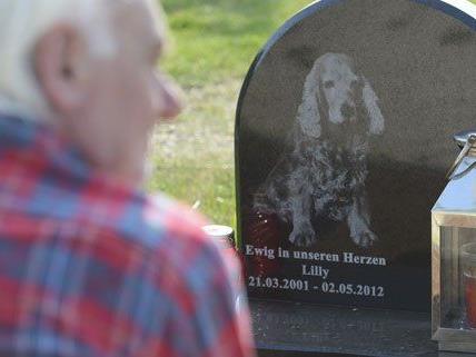 Immer mehr Haustierbesitzer entscheiden sich für eine letzte Ruhestätte am Tierfriedhof.