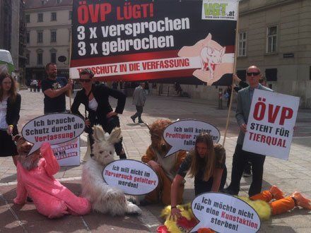 Der VGT protestierte für Tierschutz in der Verfassung. Der VGT protestierte für Tierschutz in der Verfassung.