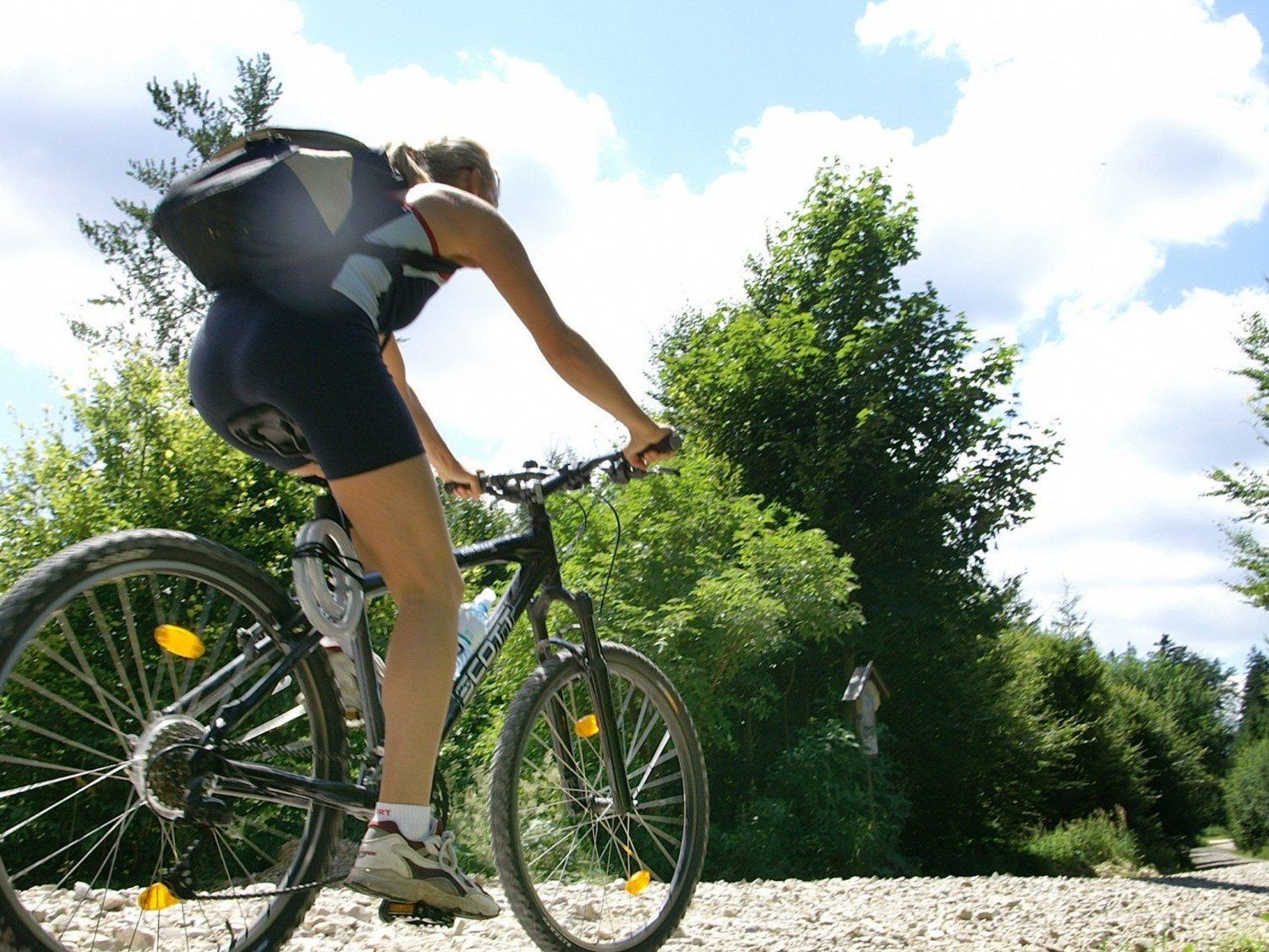 10 Empfehlungen zum Thema Mountainbike und Sicherheit. 10 Empfehlungen zum Thema Mountainbike und Sicherheit.