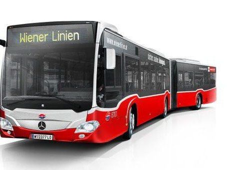 Wiener stimmten über neues Bus-Design ab Wiener stimmten über neues Bus-Design ab