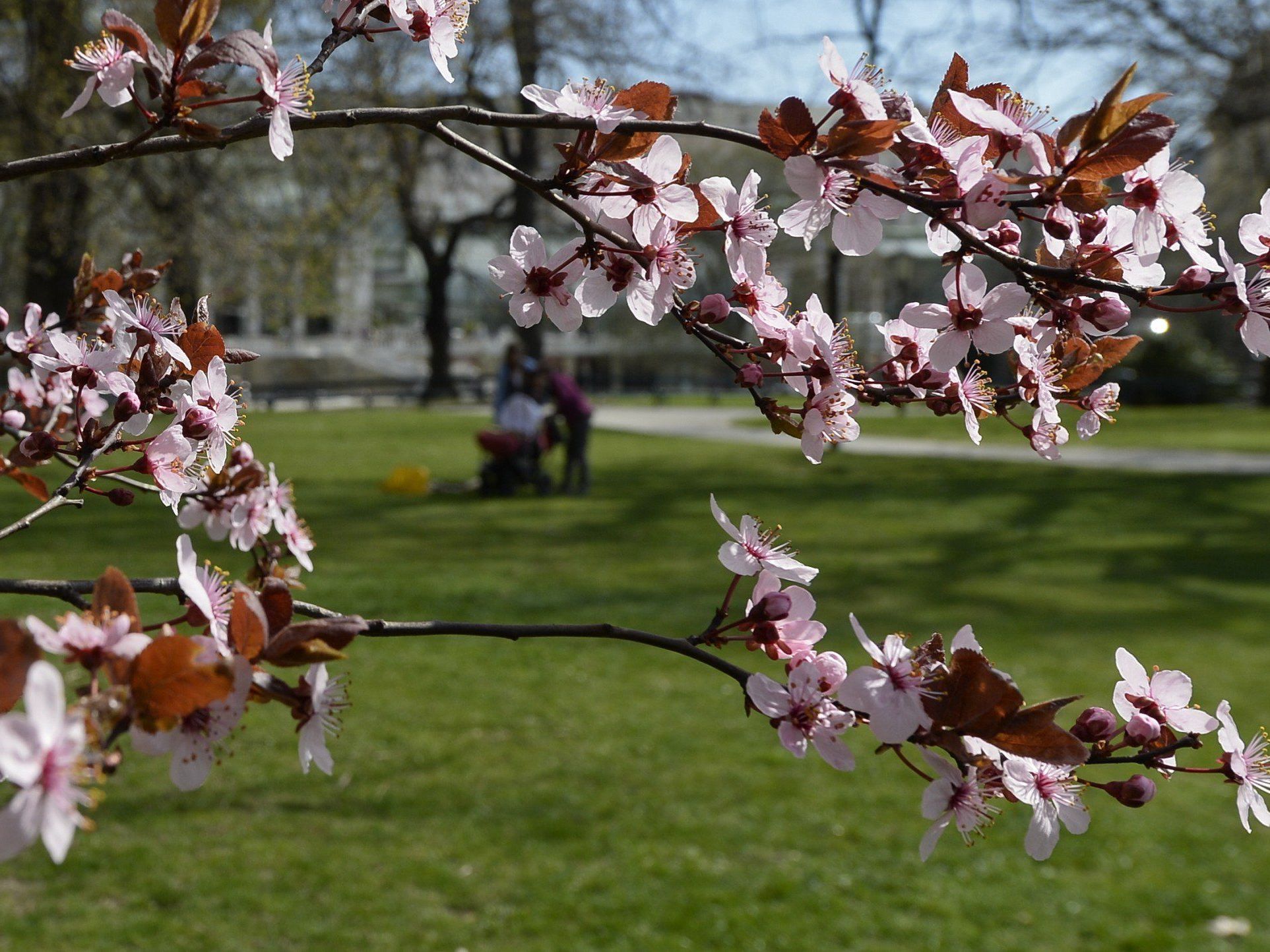 Sonne und Regenschauer in der kommenden Woche Sonne und Regenschauer in der kommenden Woche