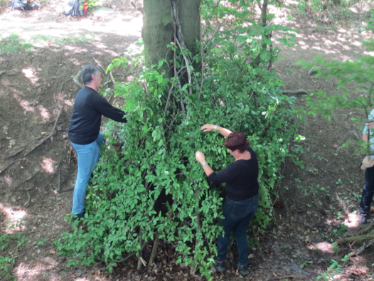 Survival Training in der Natur: Das wird gelehrt. Survival Training in der Natur: Das wird gelehrt.