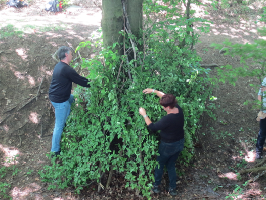 Survival Training in der Natur: Das wird gelehrt.