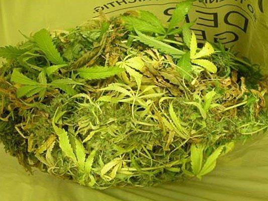 Diese Cannabis-Indoorplantage fand man in einem Küchenschrank in Korneuburg