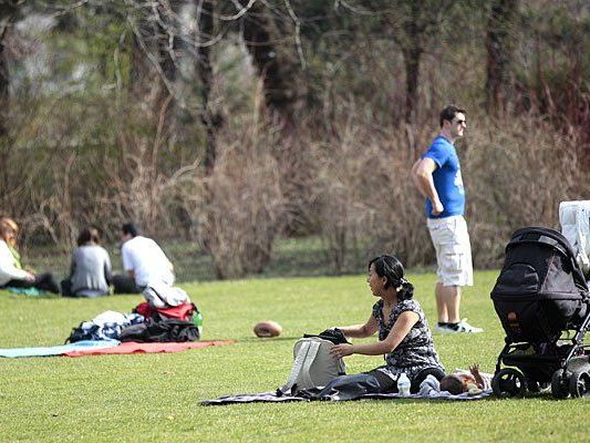 Was man in Parks wie dem Stadtpark darf und was nicht, sorg derzeit für Verwirrung