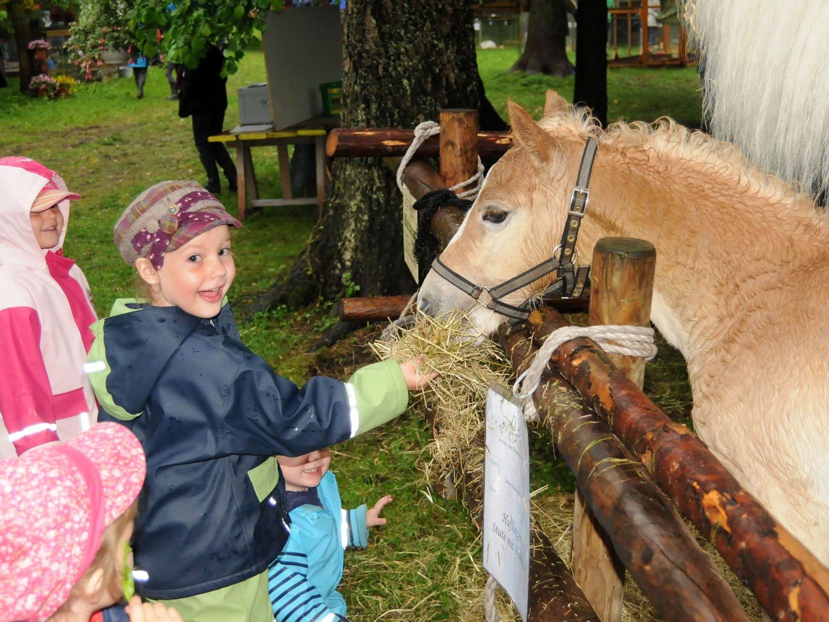 Das Tierfest auf Luisl's Farm am Alten Rhein ist stes ein tolles Erlebnis für die ganze Familie. Das Tierfest auf Luisl's Farm am Alten Rhein ist stes ein tolles Erlebnis für die ganze Familie.