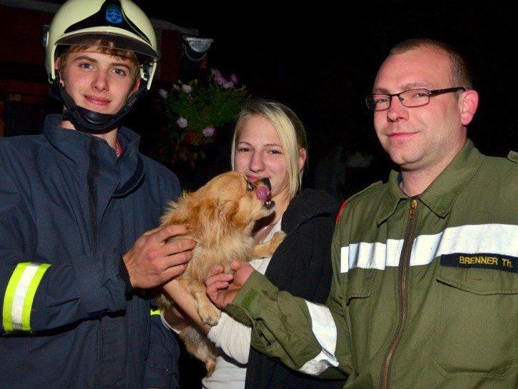 Feuerwehr rettet Hund aus Zaun