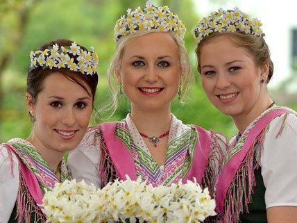 Die Narzissenkönigin und ihre Prinzessinnen. Die Narzissenkönigin und ihre Prinzessinnen.