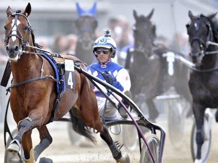 Präsidenten-Preis und Derby-Versuchsrennen in der Krieau Präsidenten-Preis und Derby-Versuchsrennen in der Krieau