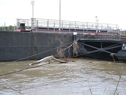 Hochwasser: So sieht es derzeit an der Donau bei Nussdorf aus Hochwasser: So sieht es derzeit an der Donau bei Nussdorf aus