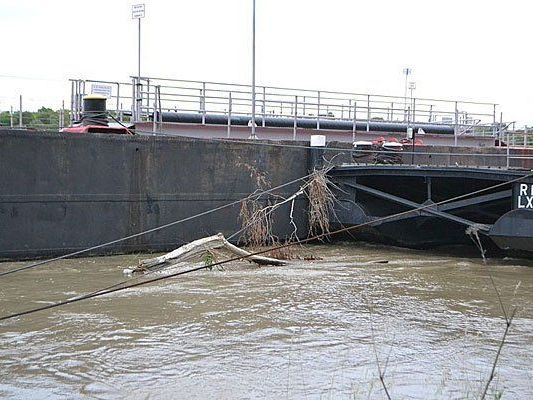 Hochwasser: So sieht es derzeit an der Donau bei Nussdorf aus