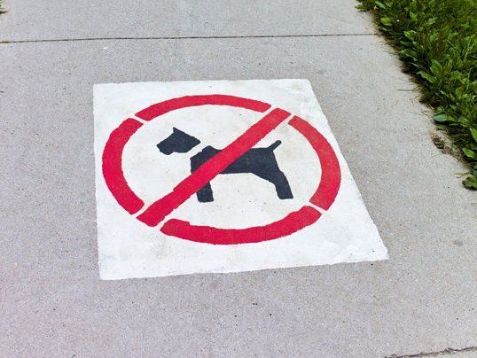 Hunde müssen drinnen bleiben. Hunde müssen drinnen bleiben.