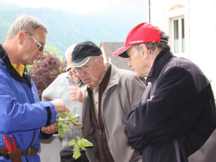 Kursleiter Norbert Carotta führte durch den Pfarrgarten Nüziders. Kursleiter Norbert Carotta führte durch den Pfarrgarten Nüziders.