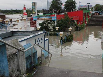 Das Hochwasser treibt zahlreiche Schaulustige auf die Copa Cagrana.