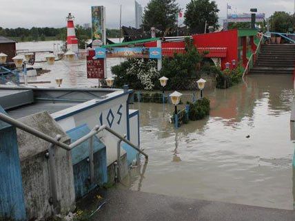 Das Hochwasser treibt zahlreiche Schaulustige auf die Copa Cagrana. Das Hochwasser treibt zahlreiche Schaulustige auf die Copa Cagrana.