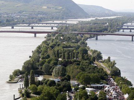 So sieht die Donauinsel nach dem Hochwasser aus So sieht die Donauinsel nach dem Hochwasser aus