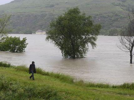 Zum Teil sind die Wasserstände in Niederösterreich bereits gesunken.