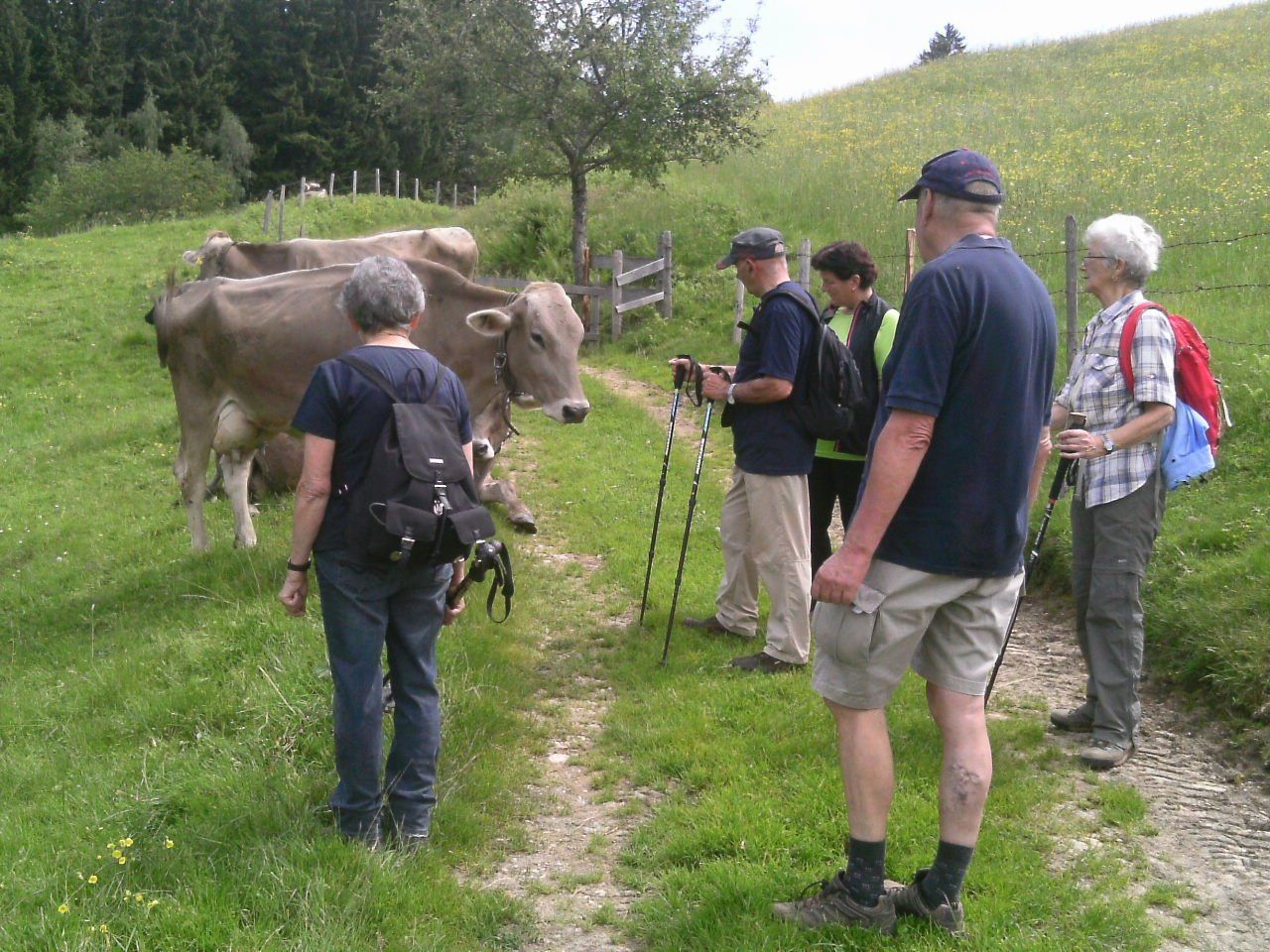 tierisches Stelldichein tierisches Stelldichein