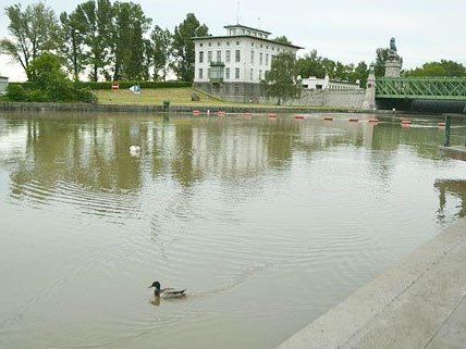 Auch in Wien soll der Wasserpegel weiter steigen.