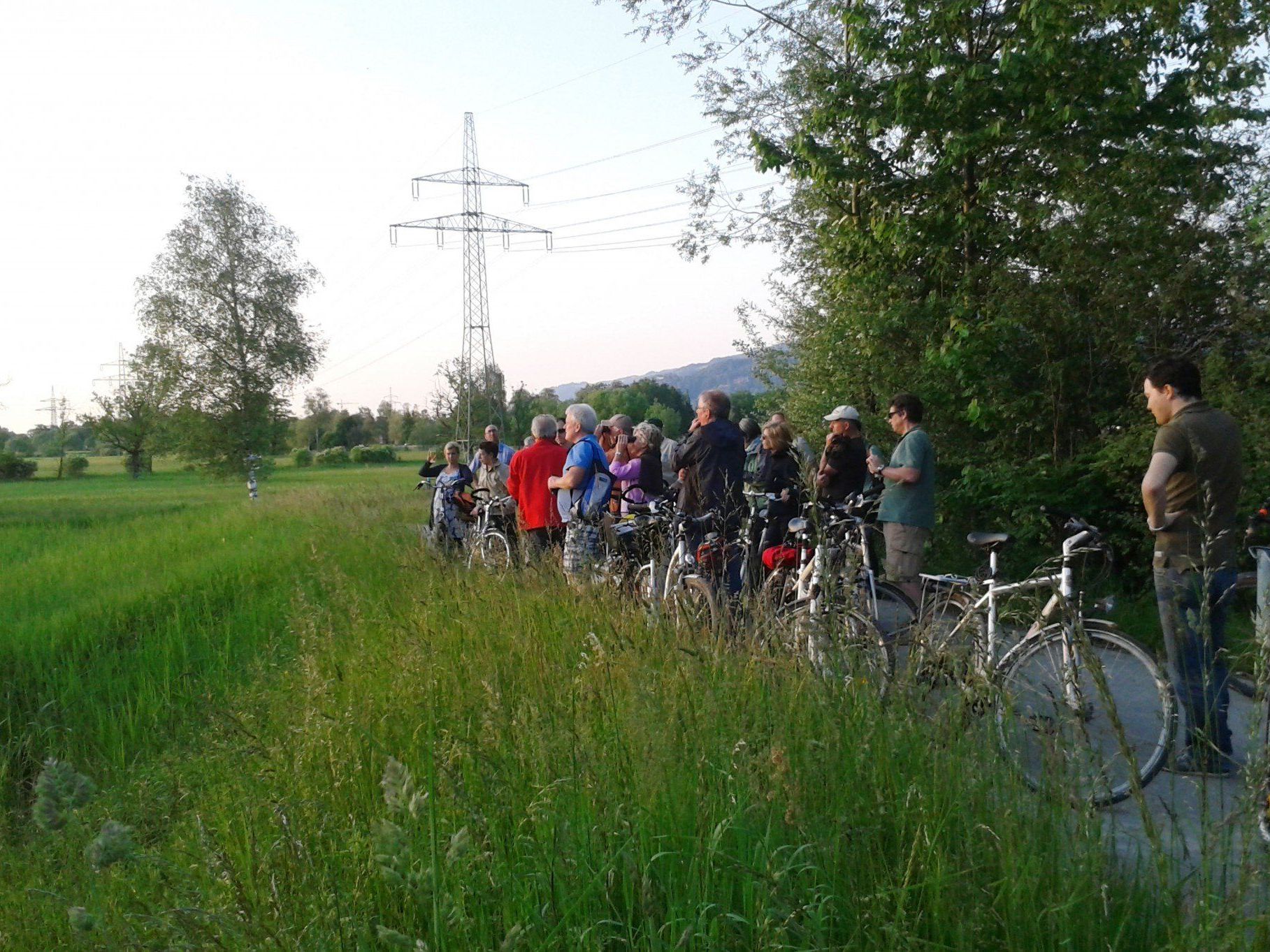Eine Fahrrad-Exkursion machte die Besonderheiten der Wolfurter Biotope erlebbar. Eine Fahrrad-Exkursion machte die Besonderheiten der Wolfurter Biotope erlebbar.