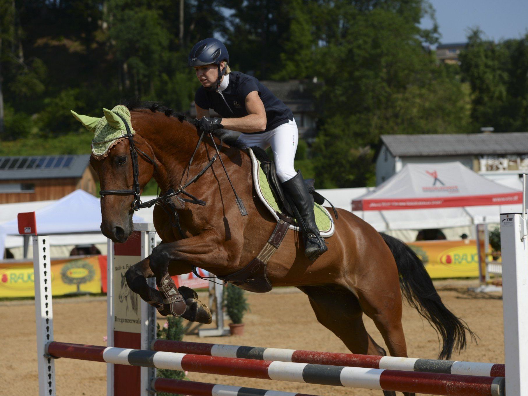 In Klaus wird ein mehrtägiges Springreitturnier stattfinden. In Klaus wird ein mehrtägiges Springreitturnier stattfinden.