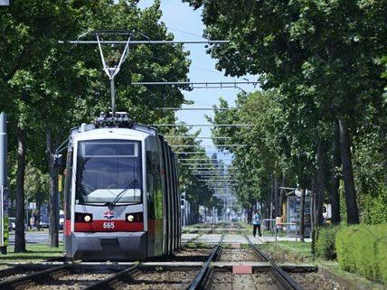 Zu den Sommer Freizeit-Highlights der Stadt mit den Öffis Zu den Sommer Freizeit-Highlights der Stadt mit den Öffis