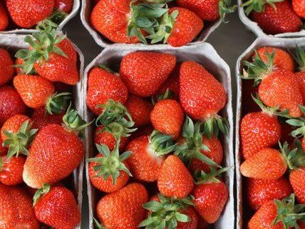 Die AKNÖ testete insgesamt 16 Erdbeer-Proben auf Pestizide.