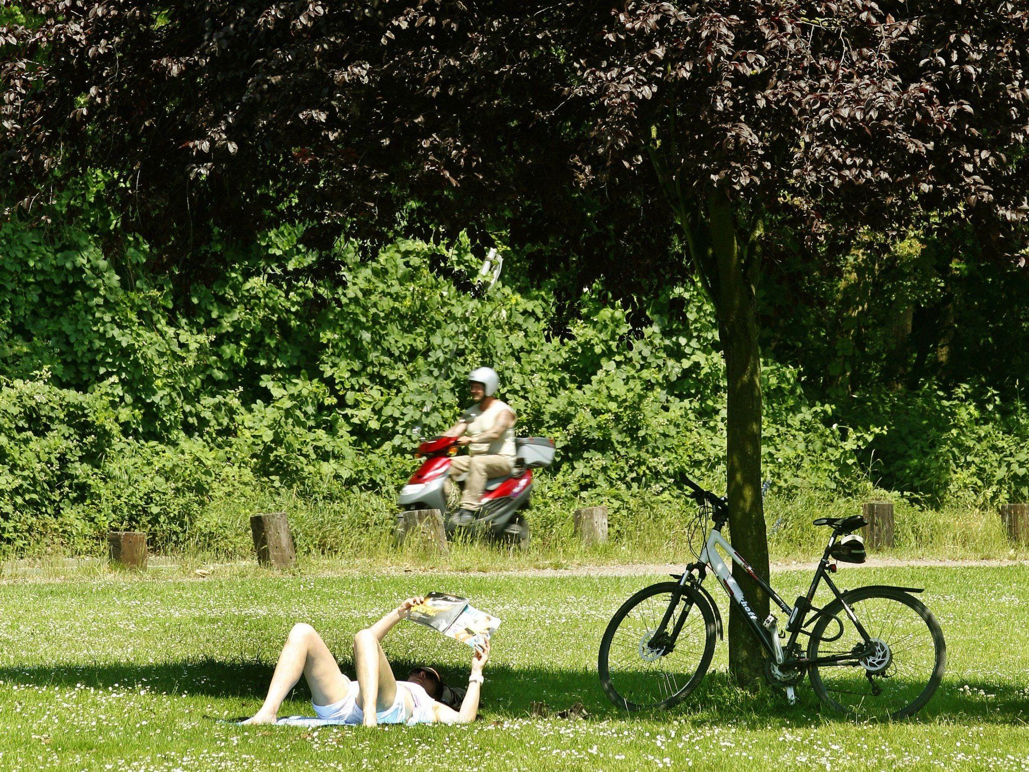 Sommerliches Wochenende in Wien: Das Wetter im Detail Sommerliches Wochenende in Wien: Das Wetter im Detail