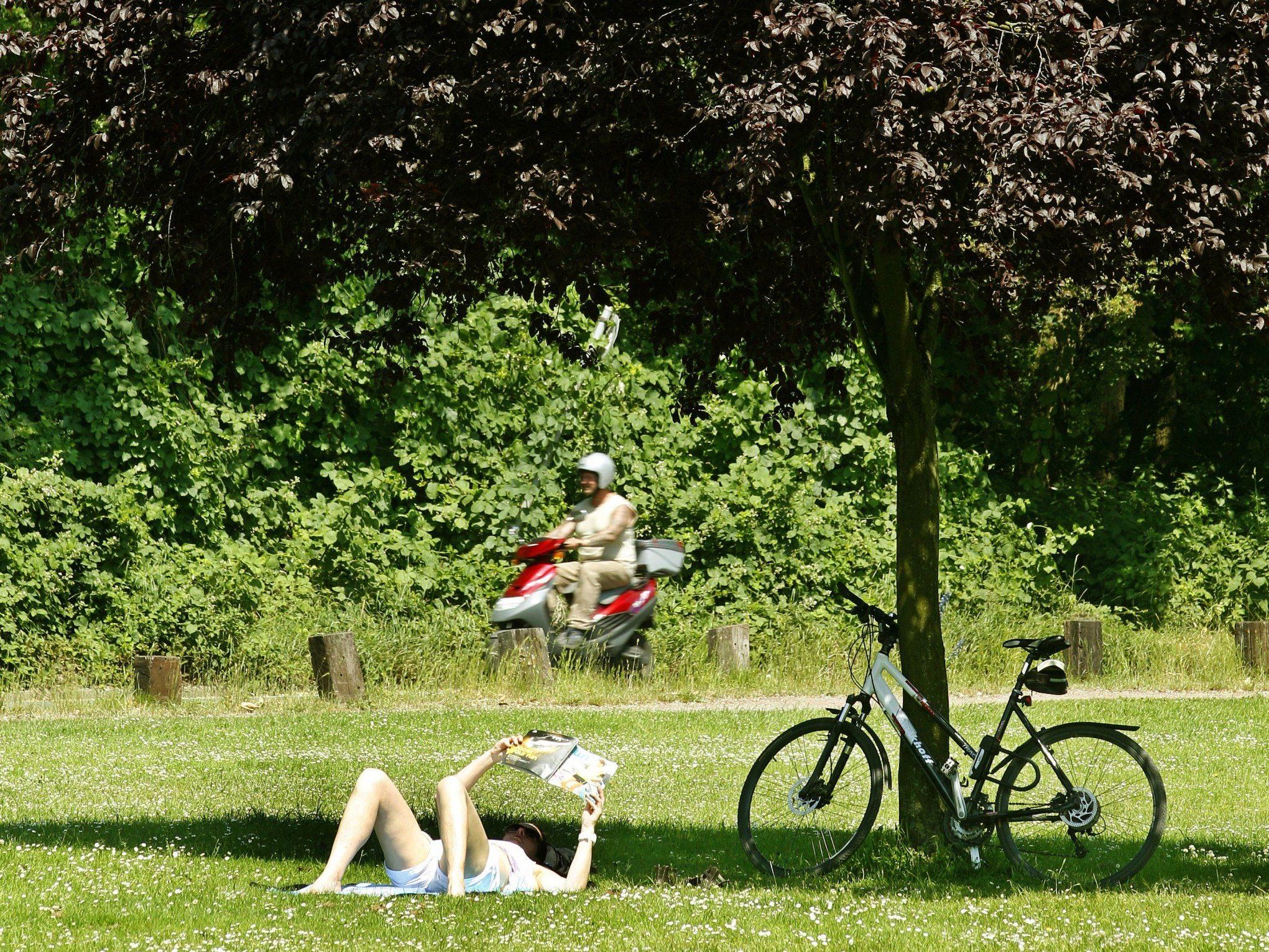 Sommerliches Wochenende in Wien: Das Wetter im Detail