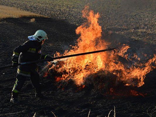 Die Feuerwehr beim Löschen eines brennenden Feldes Die Feuerwehr beim Löschen eines brennenden Feldes