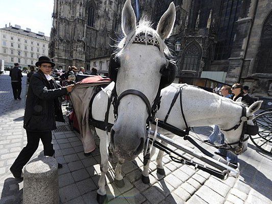 Wiens Fiaker streiken am Samstag - Tierschützer halten "Mahnwache" ab Wiens Fiaker streiken am Samstag - Tierschützer halten "Mahnwache" ab