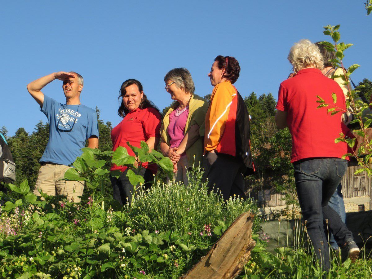 Gartenbegehung in der Parzelle Hermann Gartenbegehung in der Parzelle Hermann