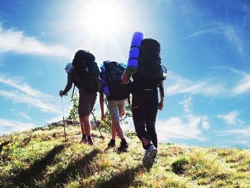 Neues Leitsystem für Wiener Wanderwege Neues Leitsystem für Wiener Wanderwege