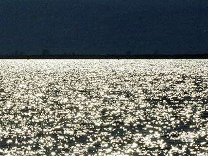 Unfall am See: 5-Jähriger erfolgreich reanimiert. Unfall am See: 5-Jähriger erfolgreich reanimiert.