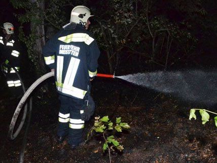 Am Donnerstag gab es einen Waldbrand in Niederösterreich. Am Donnerstag gab es einen Waldbrand in Niederösterreich.