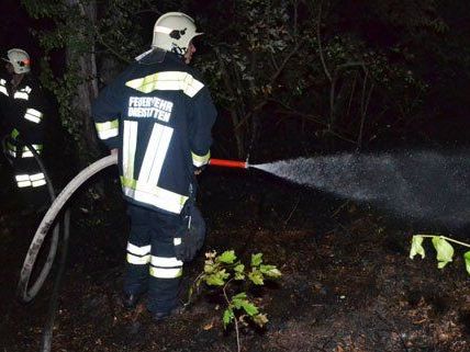 Am Donnerstag gab es einen Waldbrand in Niederösterreich.