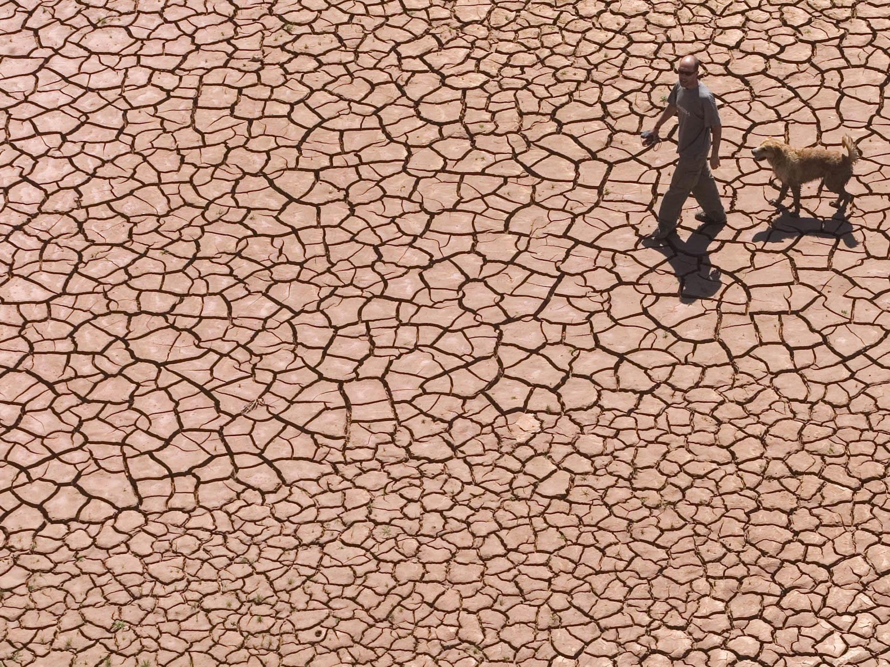 WWF: "Earth Overshoot Day" ist heuer am 20. August. WWF: "Earth Overshoot Day" ist heuer am 20. August.