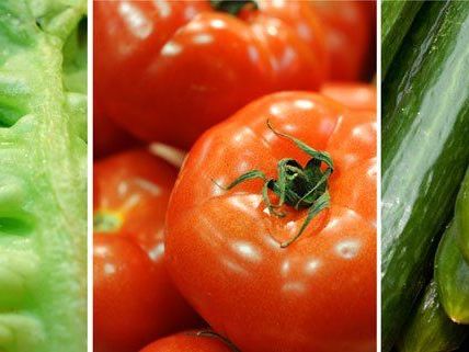 Vegetarische und vegane Ernährung liegt derzeit im Trend. Vegetarische und vegane Ernährung liegt derzeit im Trend.