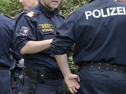In Niederösterreich konnten Kriminalisten nun eine Schlepperbande ausforschen.
