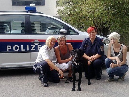 Labrador "Walter" mit seinen Retterinnen