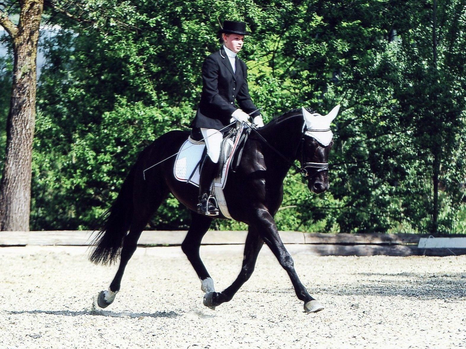 Erstmalig in Vorarlberg: 30. August bis 1. September: Mannschaftsmeisterschaft im Dressurreiten in Klaus. Erstmalig in Vorarlberg: 30. August bis 1. September: Mannschaftsmeisterschaft im Dressurreiten in Klaus.